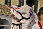 Koreaska Grupa Taekwondo 